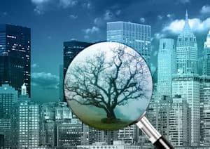 A magnifying glass showing a tree against a city landscape