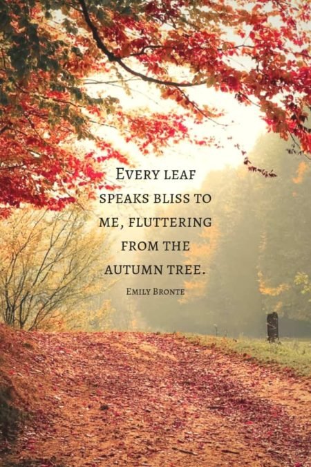 Emily Bronte autumn quote with a fall pathway...