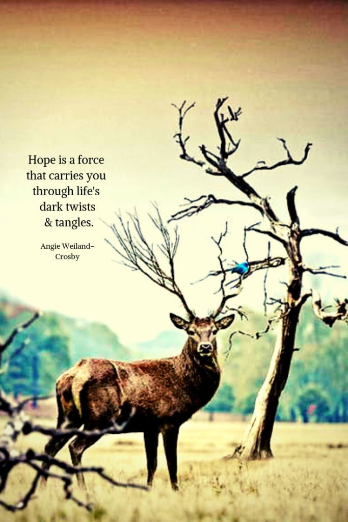 an inspirational quote with a deer and a bluebird...