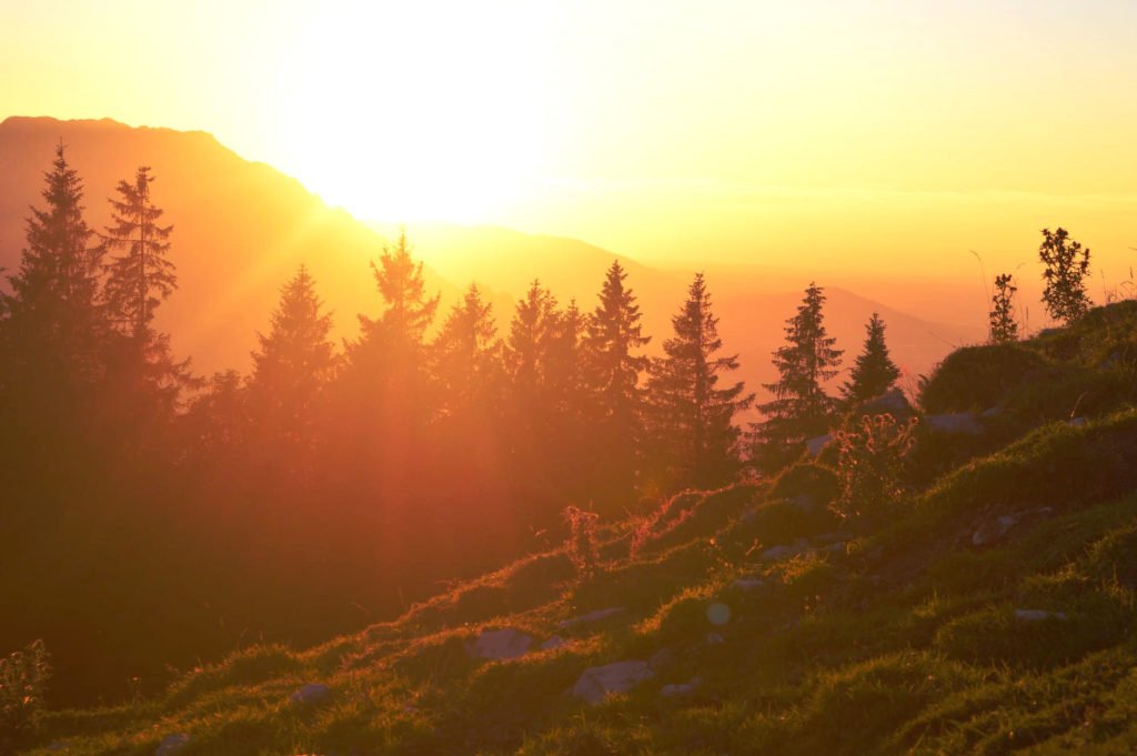 a sunrise and trees on a mountain...