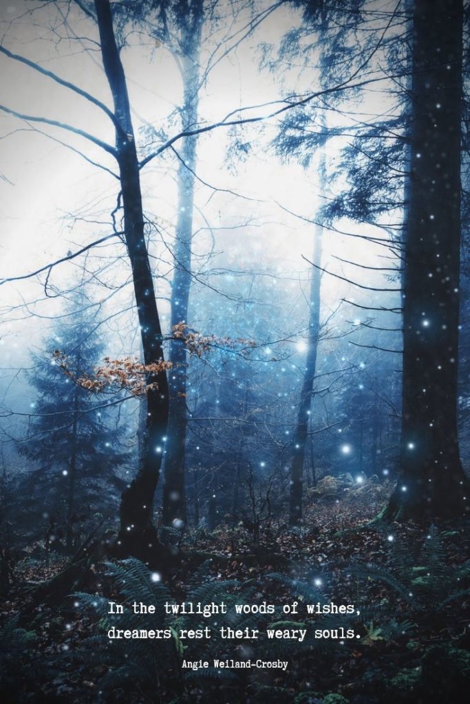 beautiful dreamer quote | soul quote | quote about imagination | a picture of nature with a foggy dark forest with flickering fireflies...