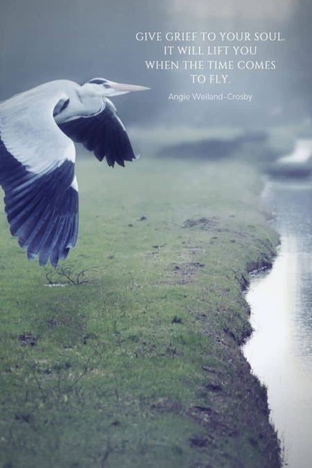 a stork flying in the rain...