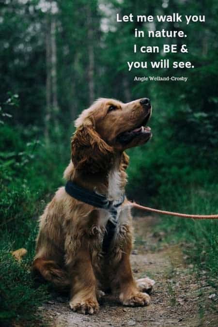 nature quote with a dog in the forest...