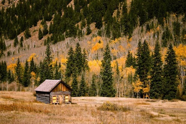 a log cabin near a forest...creative meditation for anger...Photo by Owen Wassell on Unsplash