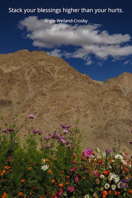 words to inspire hope...flowers and a mountain...photo by Lesly Derksen