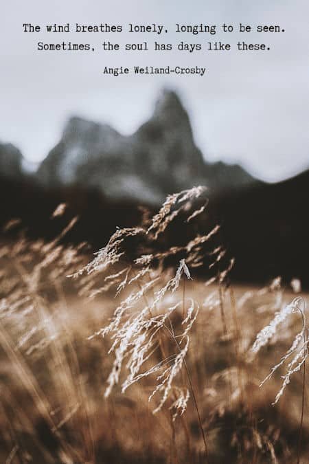 soul quote with a field and mountains...photo by Eberhard Grossgasteiger