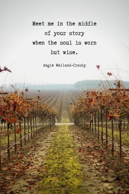 autumn love quote with photography of farmland in the fall