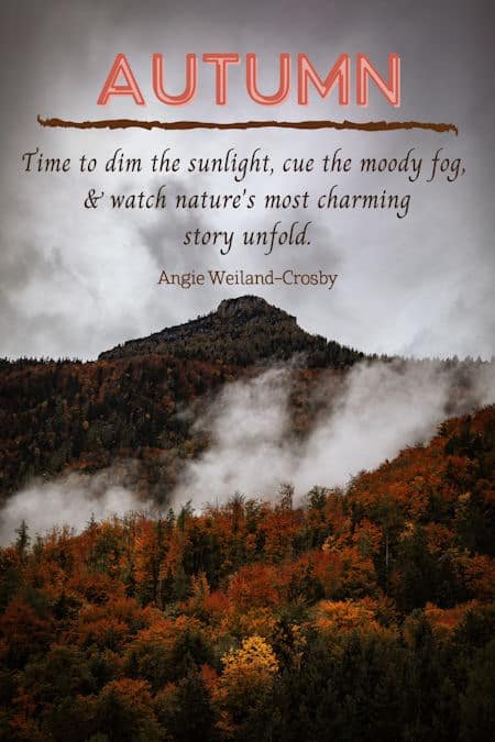 cute autumn quote with a moody nature photograph by Maximilian Zahn...