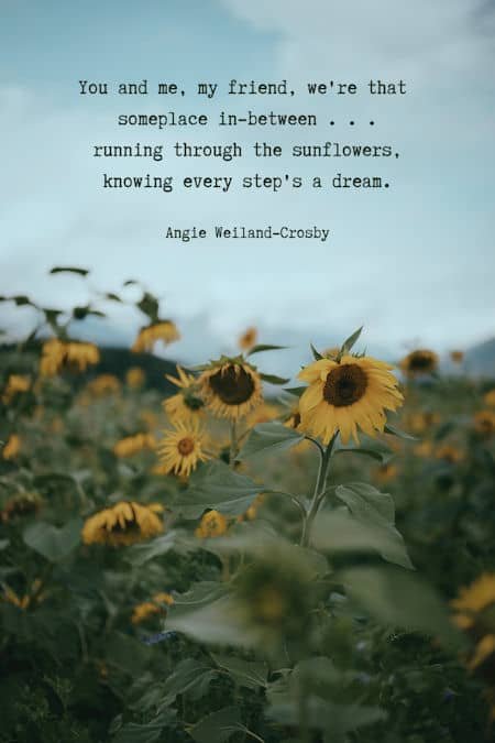 friendship love quote with a moody sunflower field by Eberhard Grossgasteiger...