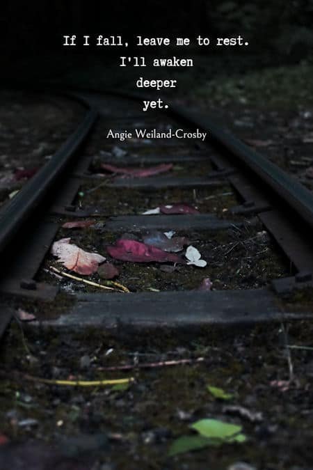 fall grief quote with railroad tracks and autumn leaves, photo by Tamara Gore..