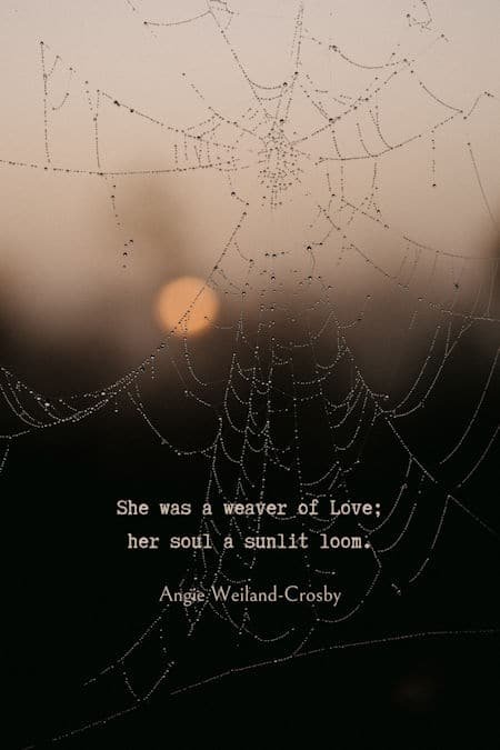 soul quote about love and motherhood | photo by Annie Spratt of the sun and a spiderweb