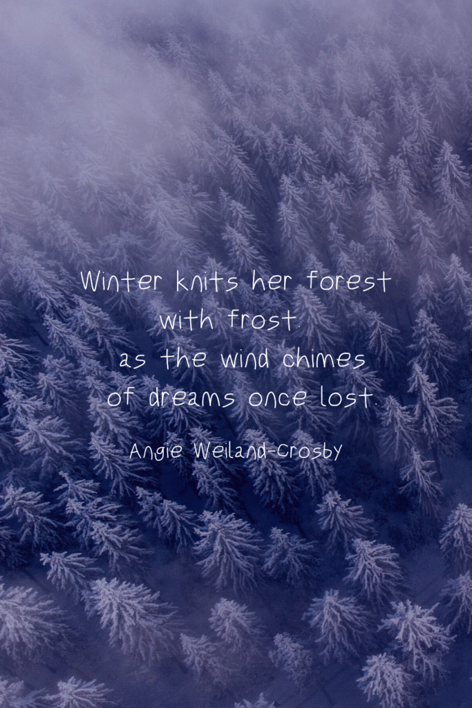 winter quote with a snowy forest | photo by Philip Jan