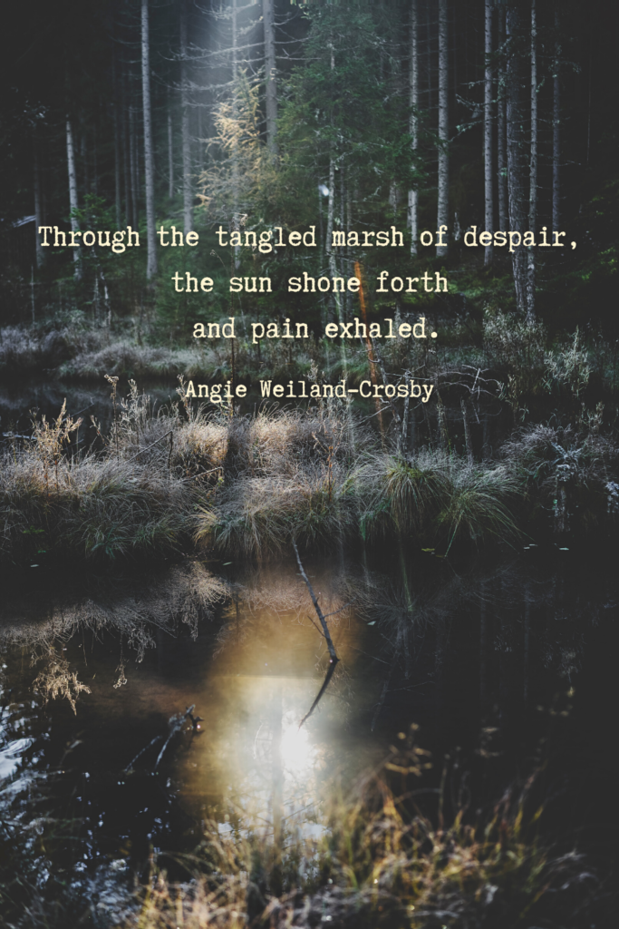 grief quote with a sun reflection on a marsh | Photo by Eberhard Grossgasteiger