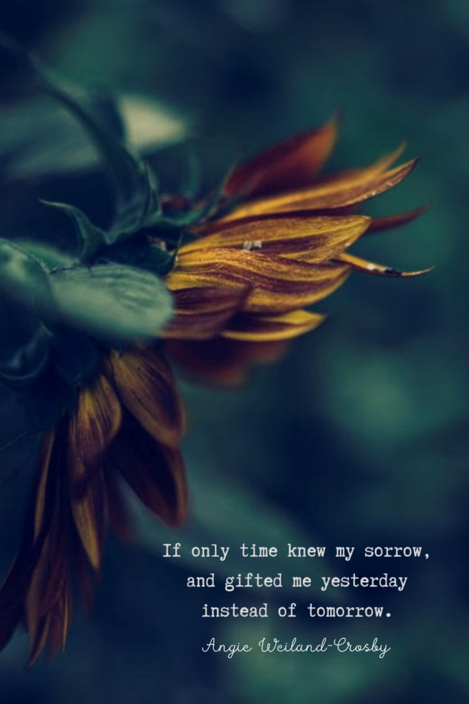 grief quote with a sunflower | Photo by Eberhard Grossgasteiger