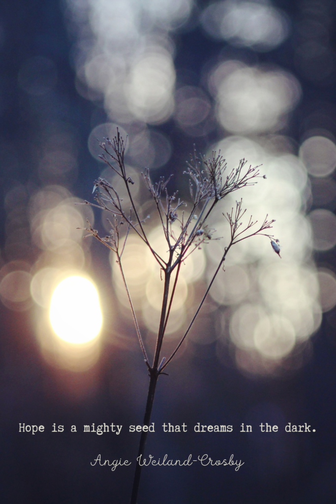 hope quote with a plant and light | Photo by Mary Sill