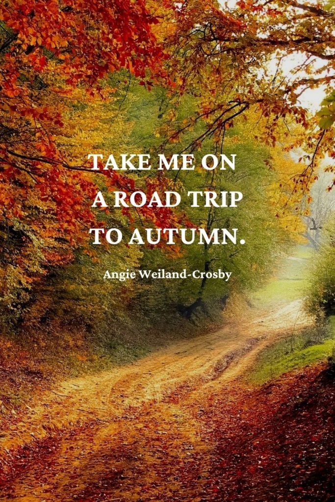 autumn wanderlust quote with a road and fall trees | Photo by Vali Sabau