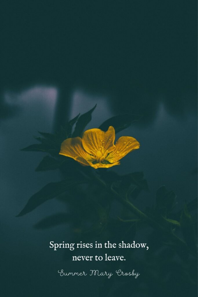 Spring Quote by Summer Mary Crosby | Yellow Flower in the Shadow by Larm Ramh