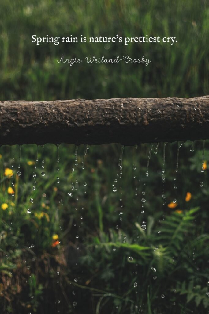 Spring Rain by Eberhard Grossgasteiger