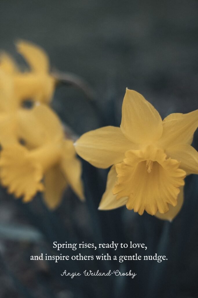 Spring Daffodils by Eberhard Grossgasteiger 